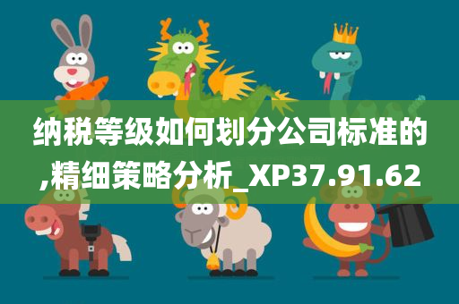 纳税等级如何划分公司标准的,精细策略分析_XP37.91.62