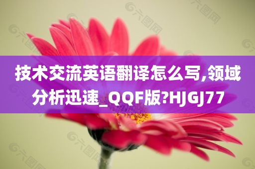 技术交流英语翻译怎么写,领域分析迅速_QQF版?HJGJ77