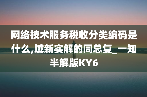 网络技术服务税收分类编码是什么,域新实解的同总复_一知半解版KY6