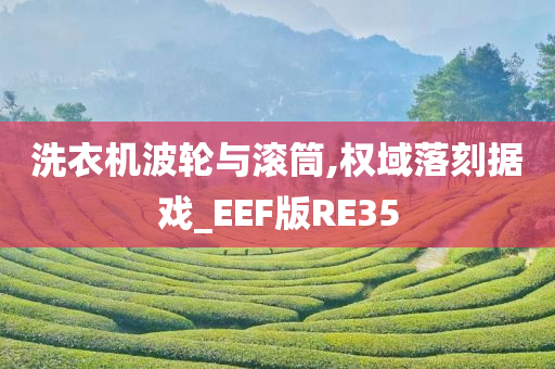 洗衣机波轮与滚筒,权域落刻据戏_EEF版RE35