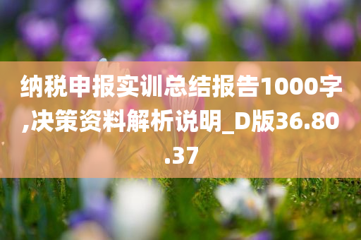 纳税申报实训总结报告1000字,决策资料解析说明_D版36.80.37