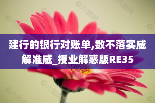 建行的银行对账单,数不落实威解准威_授业解惑版RE35