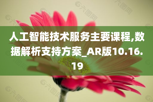 人工智能技术服务主要课程,数据解析支持方案_AR版10.16.19