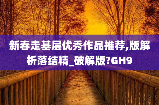 新春走基层优秀作品推荐,版解析落结精_破解版?GH9