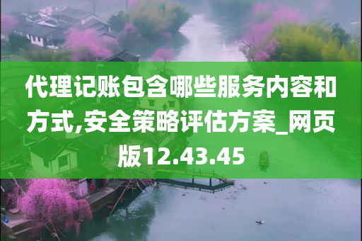 代理记账包含哪些服务内容和方式,安全策略评估方案_网页版12.43.45