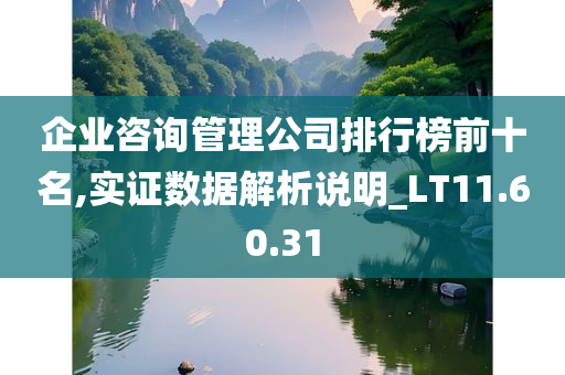 企业咨询管理公司排行榜前十名,实证数据解析说明_LT11.60.31