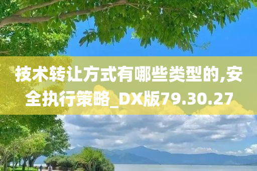 技术转让方式有哪些类型的,安全执行策略_DX版79.30.27