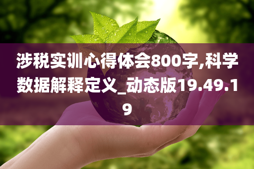 涉税实训心得体会800字,科学数据解释定义_动态版19.49.19