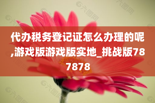 代办税务登记证怎么办理的呢,游戏版游戏版实地_挑战版787878