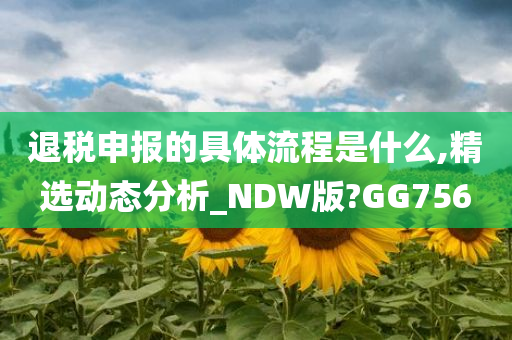 退税申报的具体流程是什么,精选动态分析_NDW版?GG756