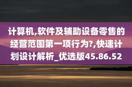 计算机,软件及辅助设备零售的经营范围第一项行为?,快速计划设计解析_优选版45.86.52