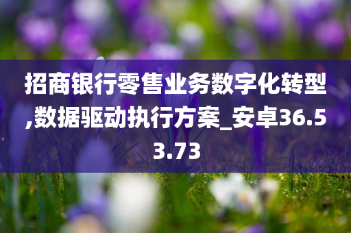 招商银行零售业务数字化转型,数据驱动执行方案_安卓36.53.73