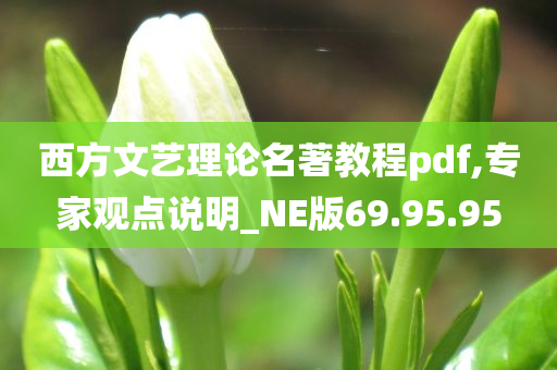 西方文艺理论名著教程pdf,专家观点说明_NE版69.95.95