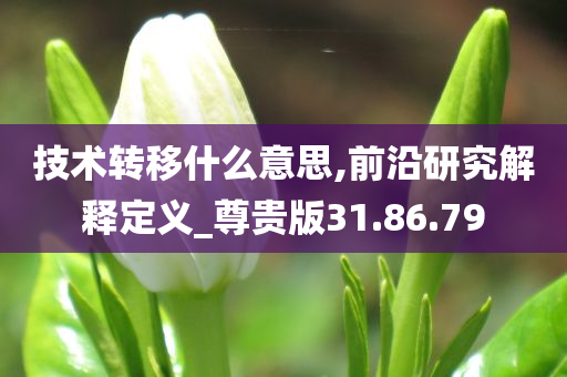 技术转移什么意思,前沿研究解释定义_尊贵版31.86.79