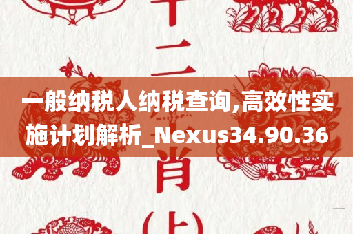 一般纳税人纳税查询,高效性实施计划解析_Nexus34.90.36