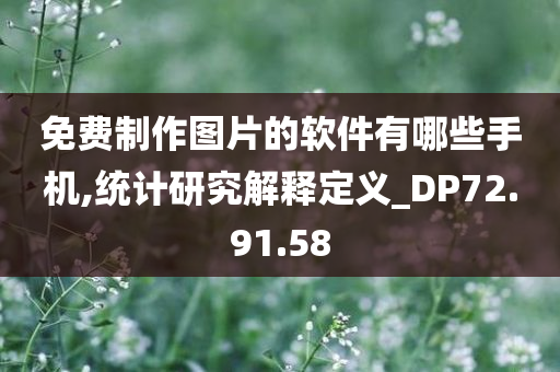 免费制作图片的软件有哪些手机,统计研究解释定义_DP72.91.58