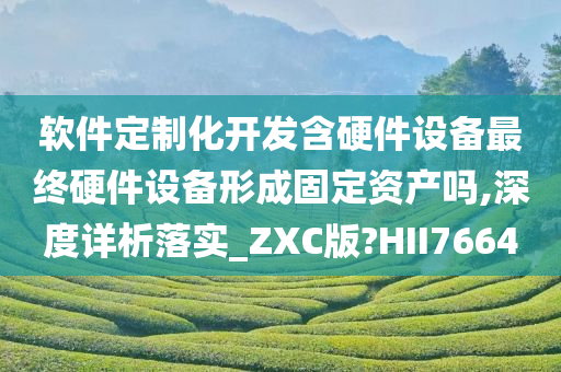 软件定制化开发含硬件设备最终硬件设备形成固定资产吗,深度详析落实_ZXC版?HII7664