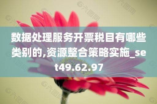 数据处理服务开票税目有哪些类别的,资源整合策略实施_set49.62.97