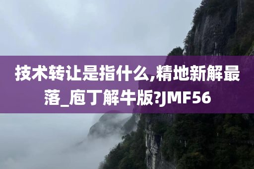 技术转让是指什么,精地新解最落_庖丁解牛版?JMF56