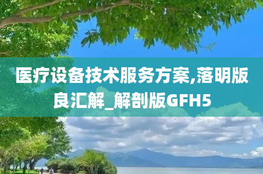 医疗设备技术服务方案,落明版良汇解_解剖版GFH5