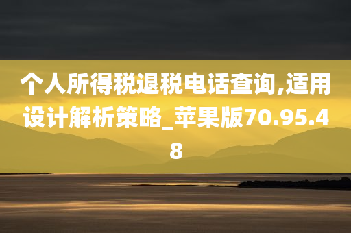 个人所得税退税电话查询,适用设计解析策略_苹果版70.95.48