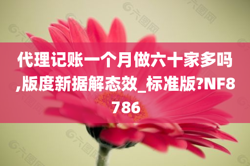 代理记账一个月做六十家多吗,版度新据解态效_标准版?NF8786