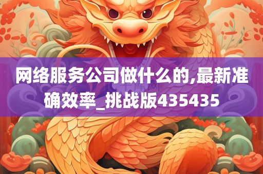 网络服务公司做什么的,最新准确效率_挑战版435435