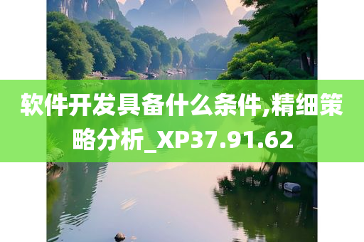 软件开发具备什么条件,精细策略分析_XP37.91.62