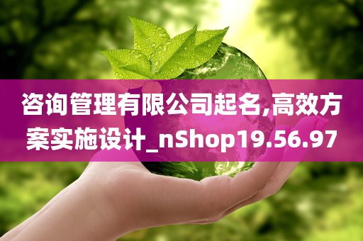 咨询管理有限公司起名,高效方案实施设计_nShop19.56.97