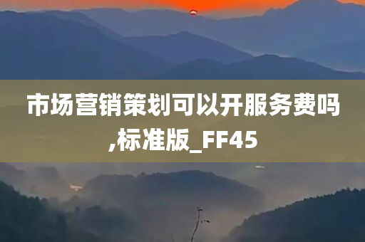 市场营销策划可以开服务费吗,标准版_FF45