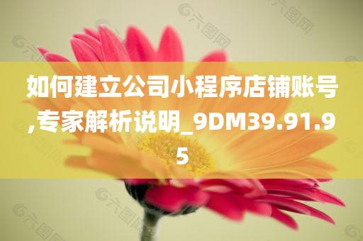 如何建立公司小程序店铺账号,专家解析说明_9DM39.91.95