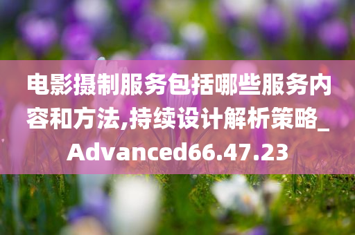 电影摄制服务包括哪些服务内容和方法,持续设计解析策略_Advanced66.47.23