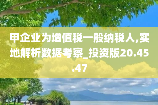 甲企业为增值税一般纳税人,实地解析数据考察_投资版20.45.47