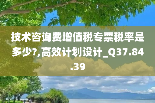 技术咨询费增值税专票税率是多少?,高效计划设计_Q37.84.39