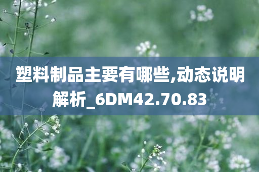 塑料制品主要有哪些,动态说明解析_6DM42.70.83