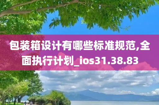 包装箱设计有哪些标准规范,全面执行计划_ios31.38.83