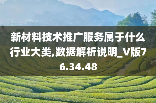 新材料技术推广服务属于什么行业大类,数据解析说明_V版76.34.48