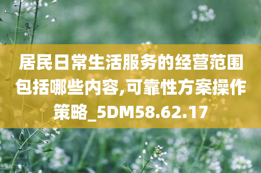 居民日常生活服务的经营范围包括哪些内容,可靠性方案操作策略_5DM58.62.17