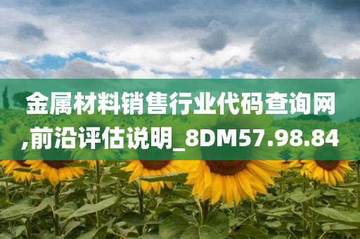 金属材料销售行业代码查询网,前沿评估说明_8DM57.98.84