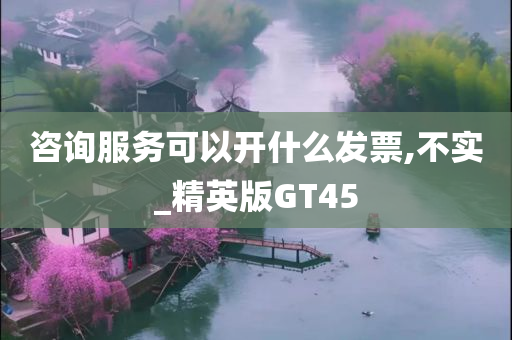 咨询服务可以开什么发票,不实_精英版GT45