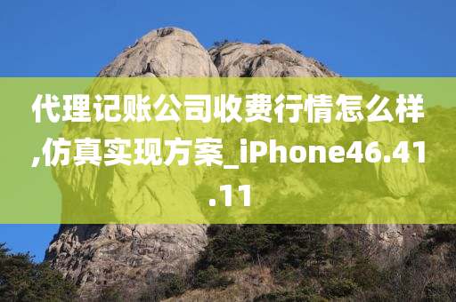 代理记账公司收费行情怎么样,仿真实现方案_iPhone46.41.11