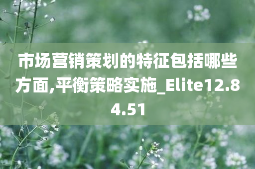 市场营销策划的特征包括哪些方面,平衡策略实施_Elite12.84.51