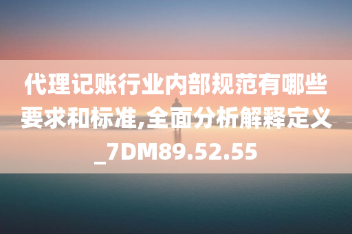 代理记账行业内部规范有哪些要求和标准,全面分析解释定义_7DM89.52.55