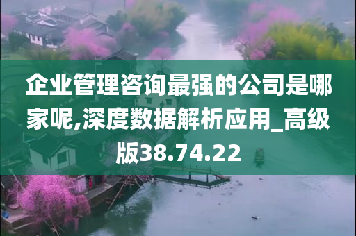 企业管理咨询最强的公司是哪家呢,深度数据解析应用_高级版38.74.22