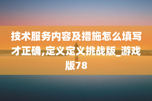 技术服务内容及措施怎么填写才正确,定义定义挑战版_游戏版78