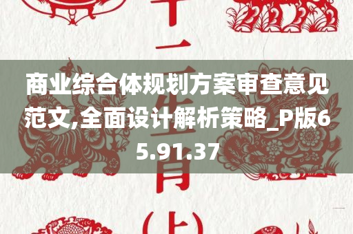 商业综合体规划方案审查意见范文,全面设计解析策略_P版65.91.37