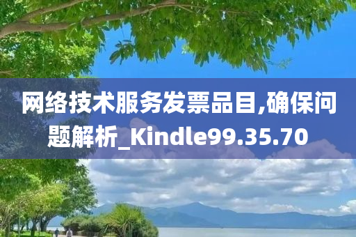 网络技术服务发票品目,确保问题解析_Kindle99.35.70