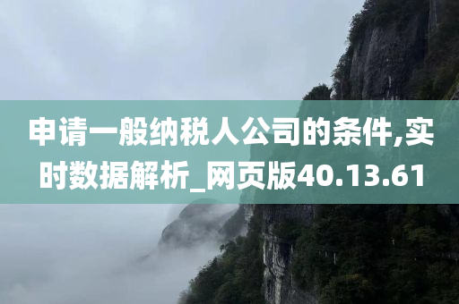 申请一般纳税人公司的条件,实时数据解析_网页版40.13.61