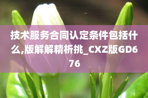 技术服务合同认定条件包括什么,版解解精析挑_CXZ版GD676