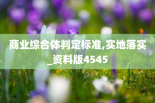 商业综合体判定标准,实地落实_资料版4545